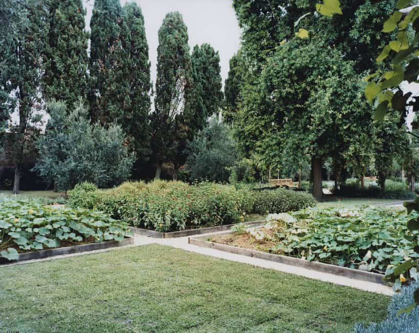 Venice: Convent Garden of Redentore Entry Ticket - Walking the Shaded Pergolas: Roses, Wisteria, and a Slower Pace