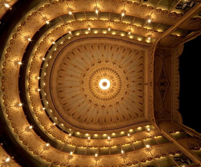 Venice Guided Tour Goldoni Theater - Goldoni Theater’s Claim to Fame: Oldest, Still Alive