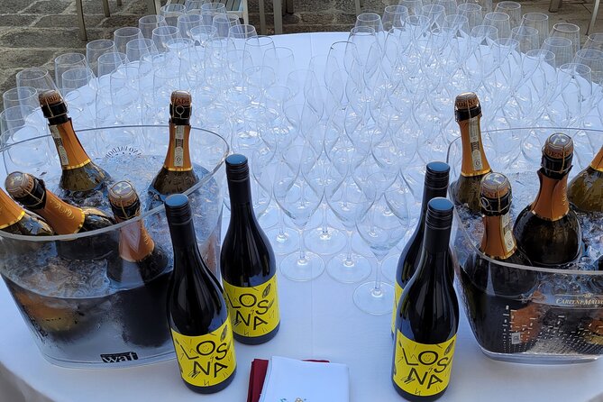 Venice like a local: Vini and Cichetti at Liuba and Hugo's home - What you learn from Liuba the sommelier and Hugo the chef