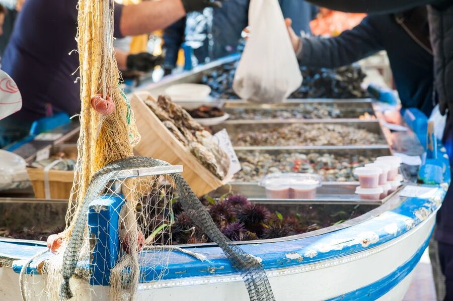 Venice: Market Tour and Meal at a Local's Home - Who This Tour Suits Best