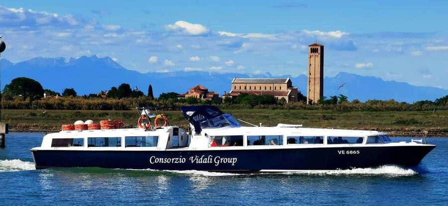 Venice: Murano and Burano Half-Day Lagoon Trip - Burano in About an Hour: Lace Shops, Painted Houses, and Photo Stops