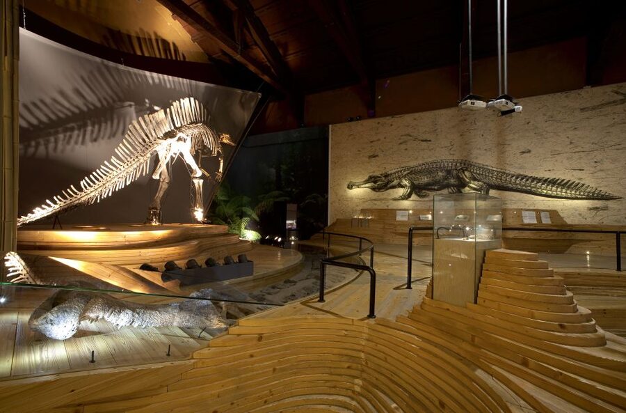 Venice: Natural History Museum Entry Ticket - Key Things You’ll Want to Notice