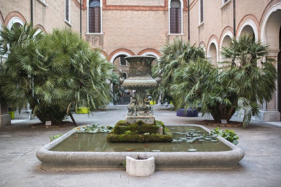 Venice: Natural History Museum Entry Ticket - Your Best “One-Day” Route Through 2 Million Objects