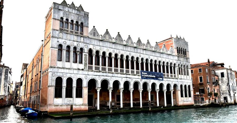 Venice: Natural History Museum Entry Ticket - Natural World Rooms, Touch-Friendly Moments, and the Cabinet of Curiosity Feel