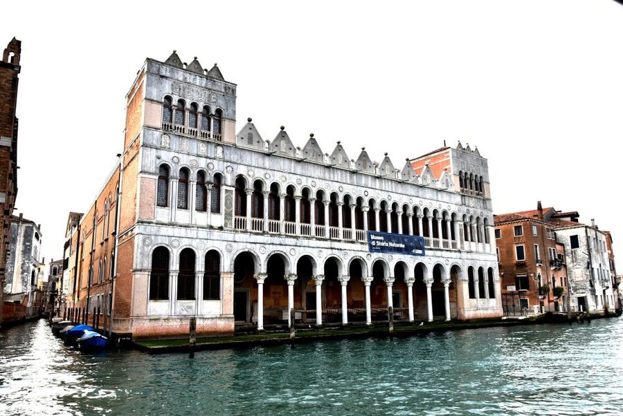 Venice: Natural History Museum Entry Ticket - The 13th-Century Building: A View First, a Museum Second