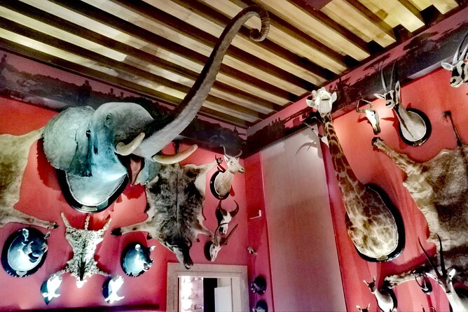 Venice Natural History Museum: Private Tour - Inside the museum: dinosaur skeletons, marine halls, and odd specimens