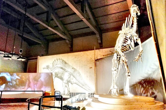 Venice Natural History Museum: Private Tour - English support vs Italian-heavy exhibits