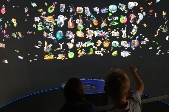 Venice Natural History Museum: Private Tour - Who this private Natural History Museum tour suits best