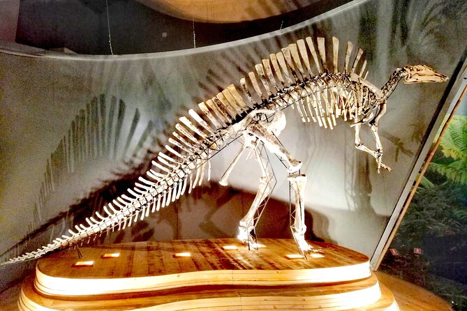 Venice Natural History Museum: Private Tour - Should you book the Venice Natural History Museum private tour?