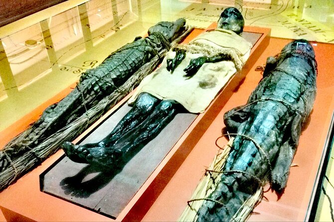 Venice Natural History Museum: Private Tour - What the private 2-hour format feels like