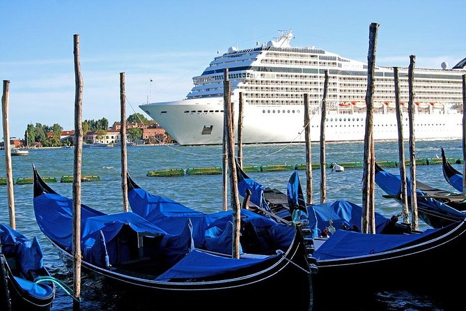 Venice Private Arrival Transfer by Water Taxi: Cruise Port to Central Venice - Key things to know before you commit
