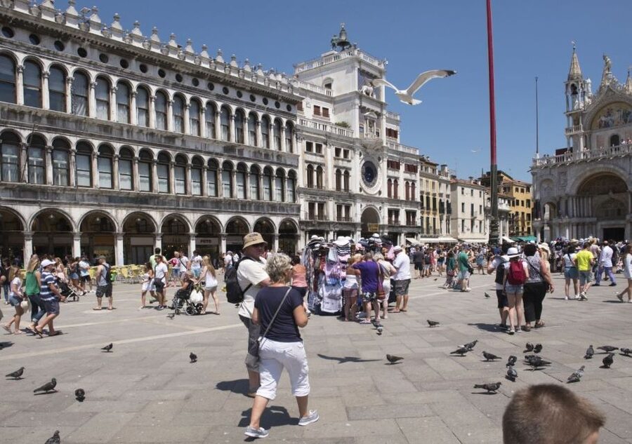 Venice: Private Local Highlights & Hidden Gems Tour - Price and value: what you’re paying for, and what you’re not