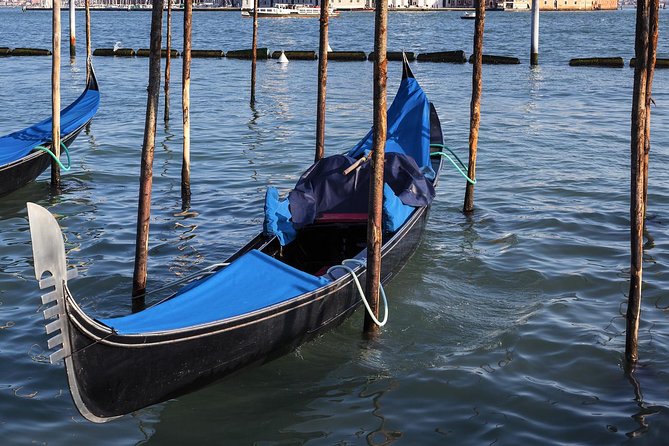 Venice Private Tour for Families with Gondola Ride - Practical tips before you go: dress, time, strollers, and weather