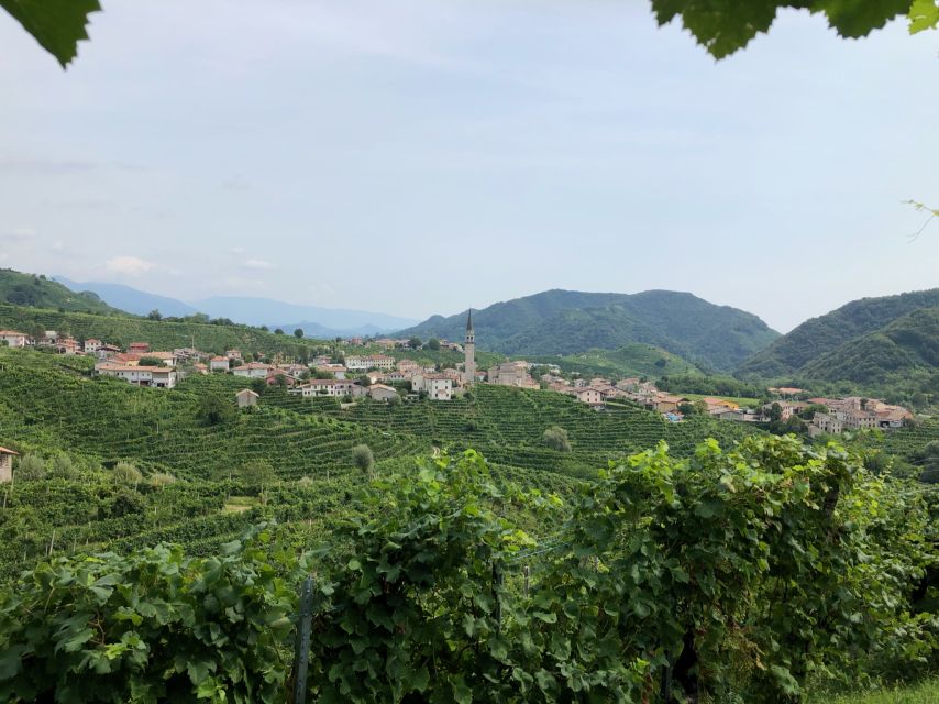 Venice: Prosecco Hills Wineries Tour with Tastings and Lunch - The Family Osteria Lunch: Spiedo, Fire, and Real Local Comfort