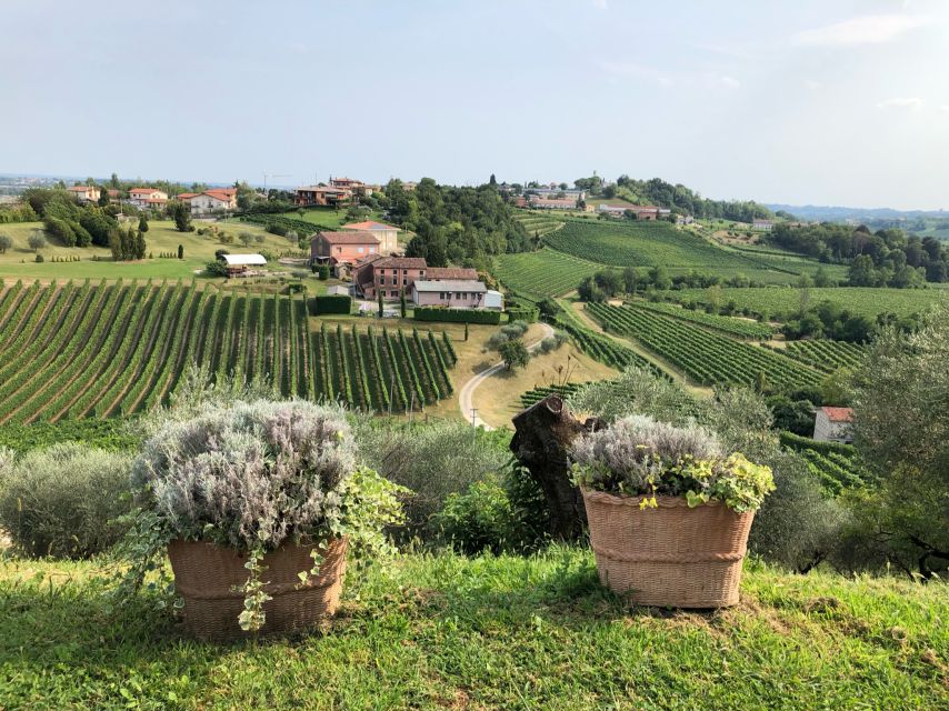 Venice: Prosecco Hills Wineries Tour with Tastings and Lunch - Transportation and Timing: Long Day, Smart Pacing