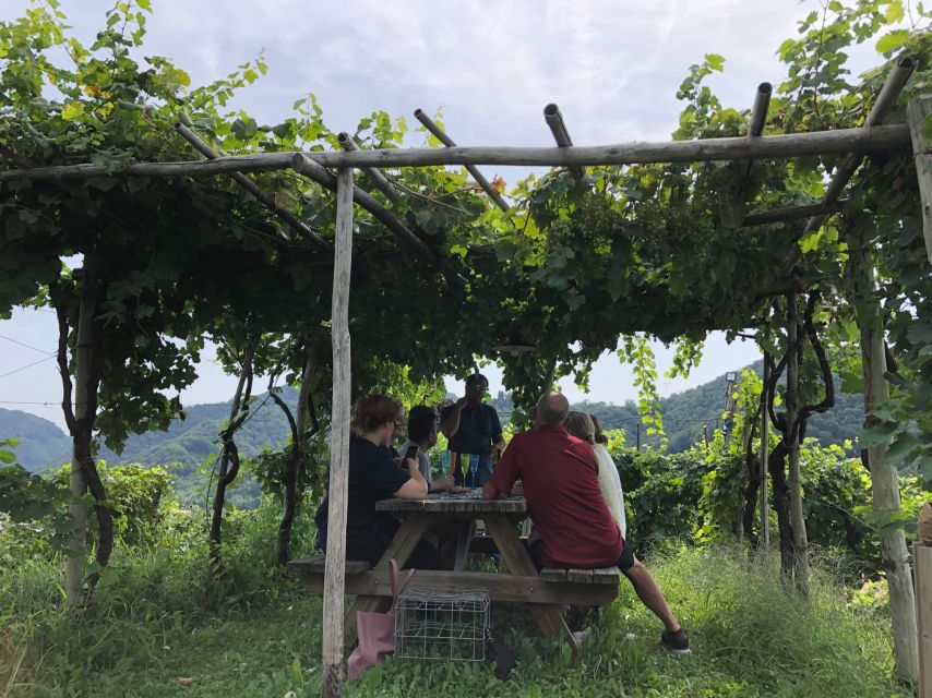 Venice: Prosecco Hills Wineries Tour with Tastings and Lunch - Price and Value: Why This One Costs More Than the Big-Bus Options