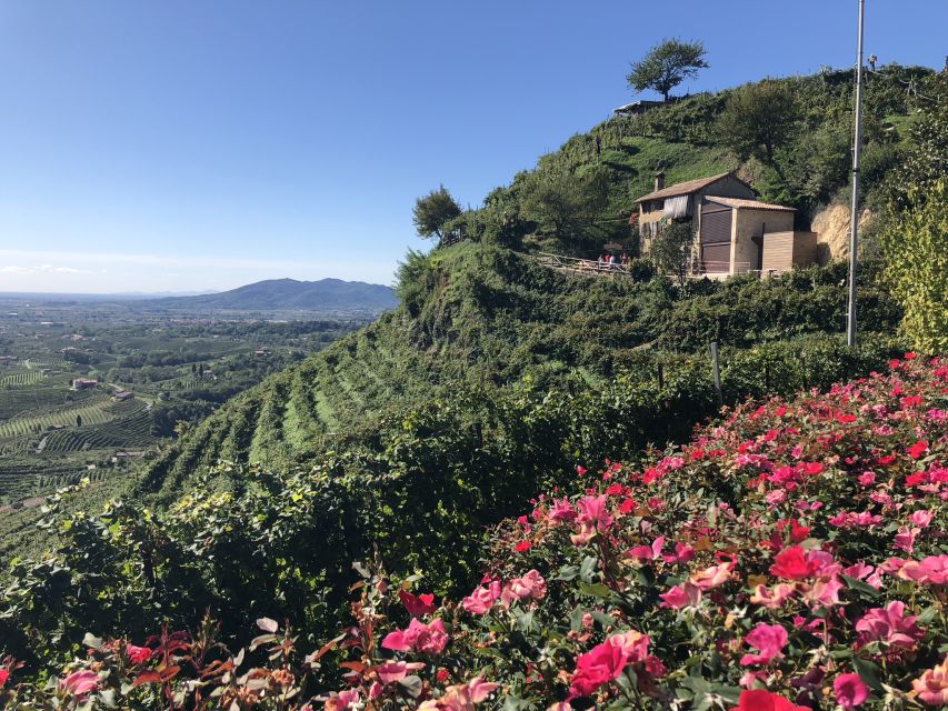 Venice: Prosecco Hills Wineries Tour with Tastings and Lunch - What to Bring (and How to Make It a Win)