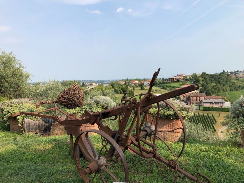 Venice: Prosecco Hills Wineries Tour with Tastings and Lunch - Should You Book This Prosecco Hills Tour from Venice?