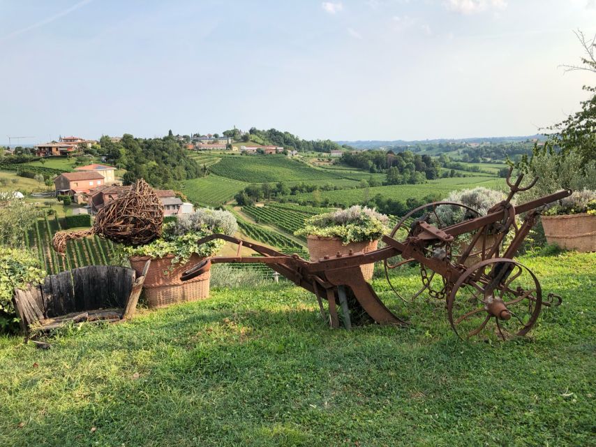 Venice: Prosecco Hills Wineries Tour with Tastings and Lunch - Prosecco Hills Winery Tastings: Two Stops, Two Personalities