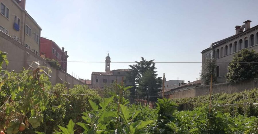 Venice: Secret City Gardens Walking Tour - Key Garden-City Details You’ll Want to Know