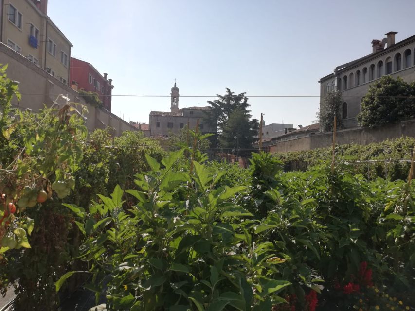 Venice: Secret City Gardens Walking Tour - The Point of This Tour: Venice Without the Noise