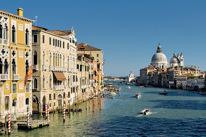 Venice Sightseeing Walking Tour for Kids and Families - Rialto Bridge and the market atmosphere at kid speed