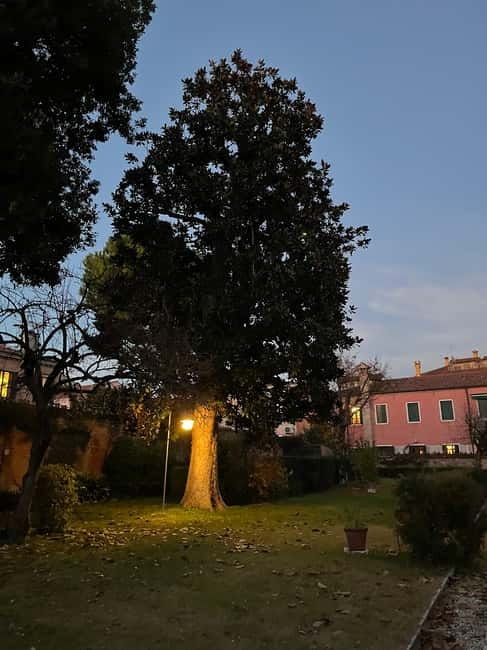 Venice: Sunrise Walking Tour with Espresso - Key highlights you’ll actually feel
