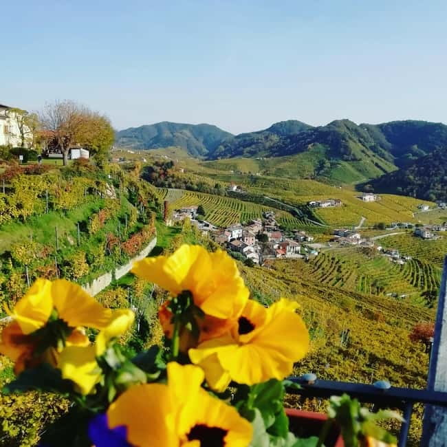 Venice: wine tour tasting along the Unesco Prosecco hills - Venice to Valdobbiadene: the Prosecco hills start before the first pour