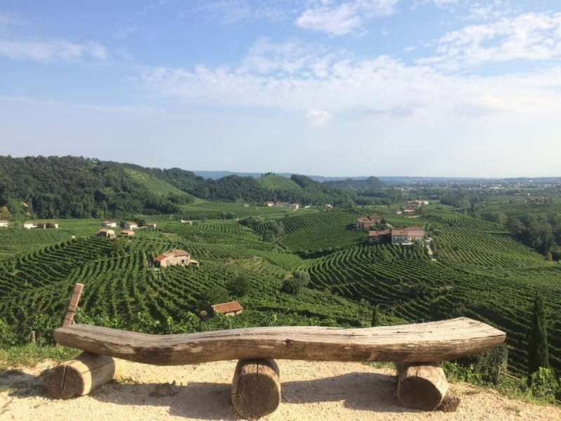 Venice: wine tour tasting along the Unesco Prosecco hills - Stop in Valdobbiadene: family property, cellar time, and a tasting with food pairing