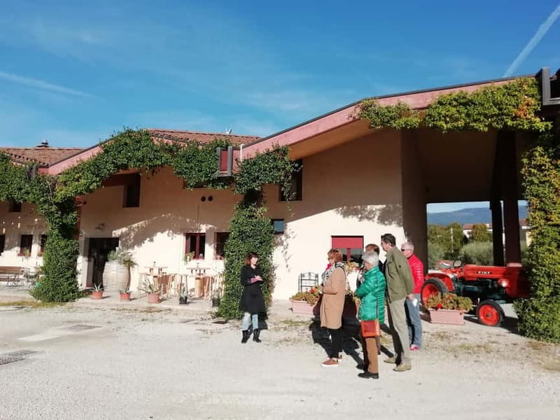 Venice: wine tour tasting along the Unesco Prosecco hills - Lunch, scenic stops, and the small extras that make it feel special