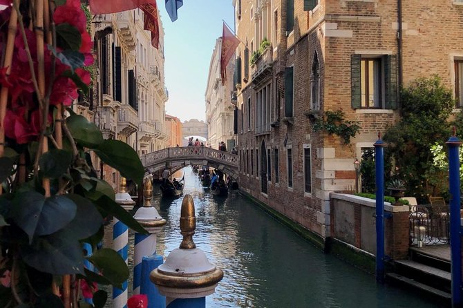 Walking Tour of Venice from St. Mark's Square to Rialto - Access Fees and the Venice Day-Trip Reality